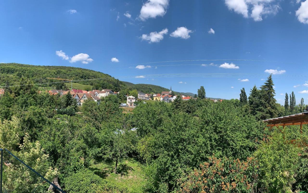 Zeit In Hambach Appartement
