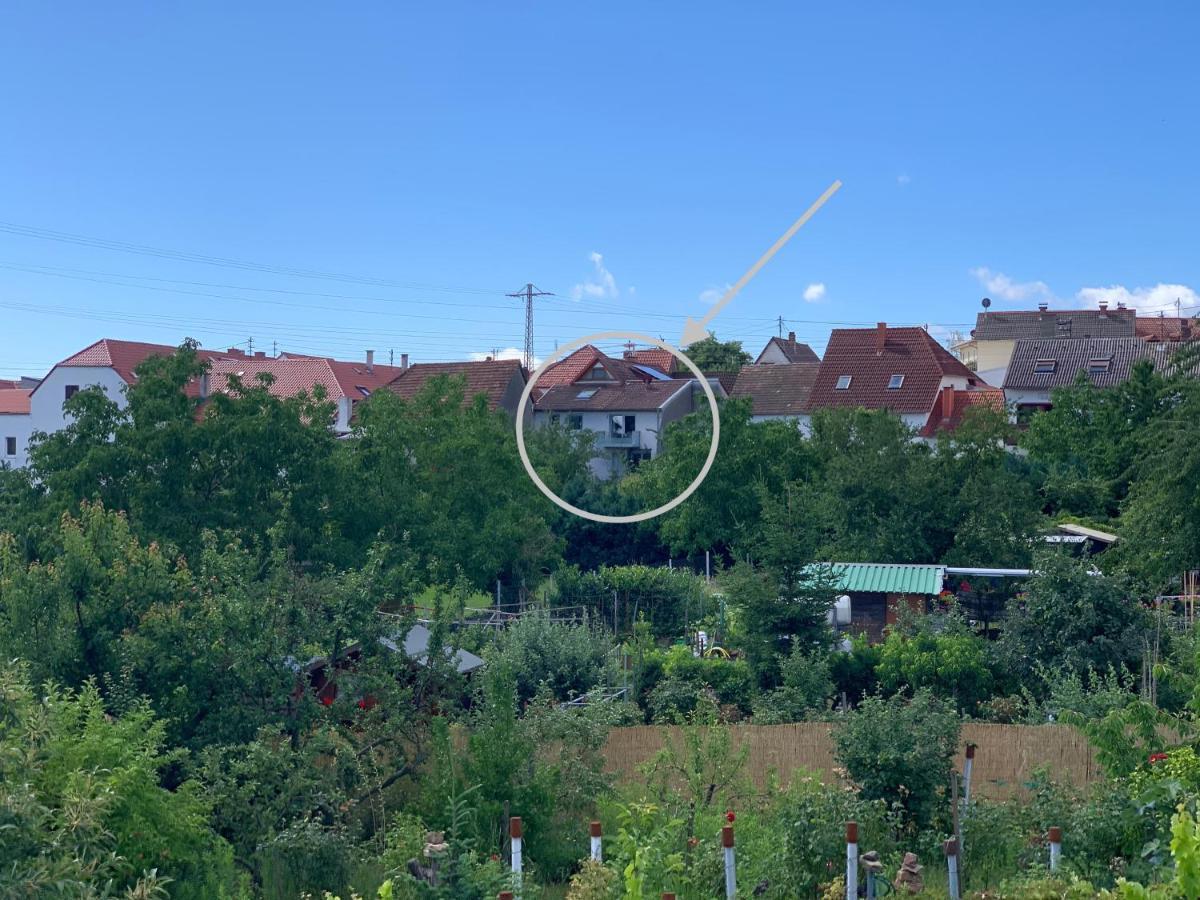 Zeit In Hambach Neustadt an der Weinstraße